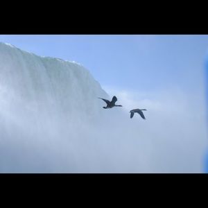 Meet your Posher, Yan